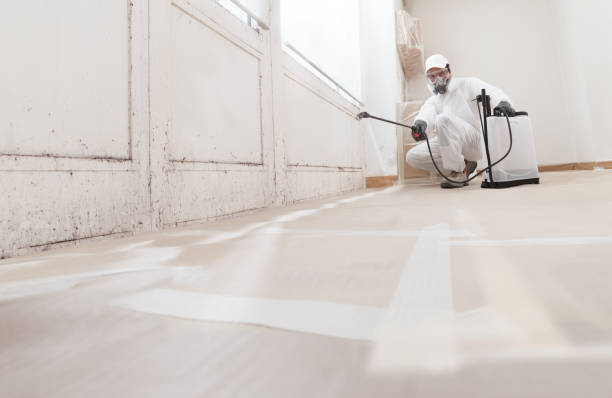 Black mold remediation team in Union Pier
